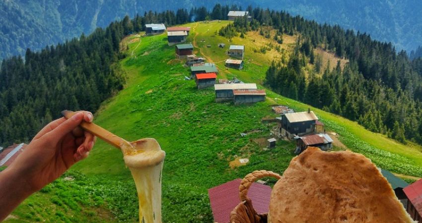 Büyük Karadeniz Kültür ve Doğa Turu